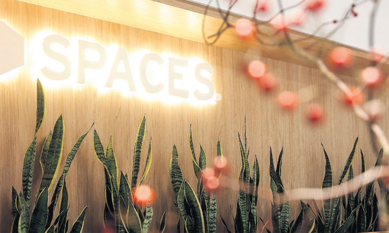 Dan nakon otvorenja već su popunjeni 7%, odnosno imaju 12 popunjenih ureda/Marin Tironi/PIXSELL