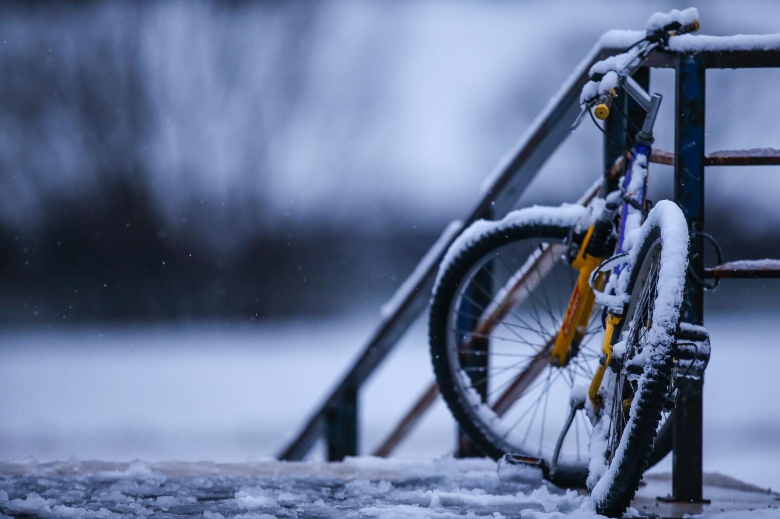 Foto: Igor Šoban / Pixsell