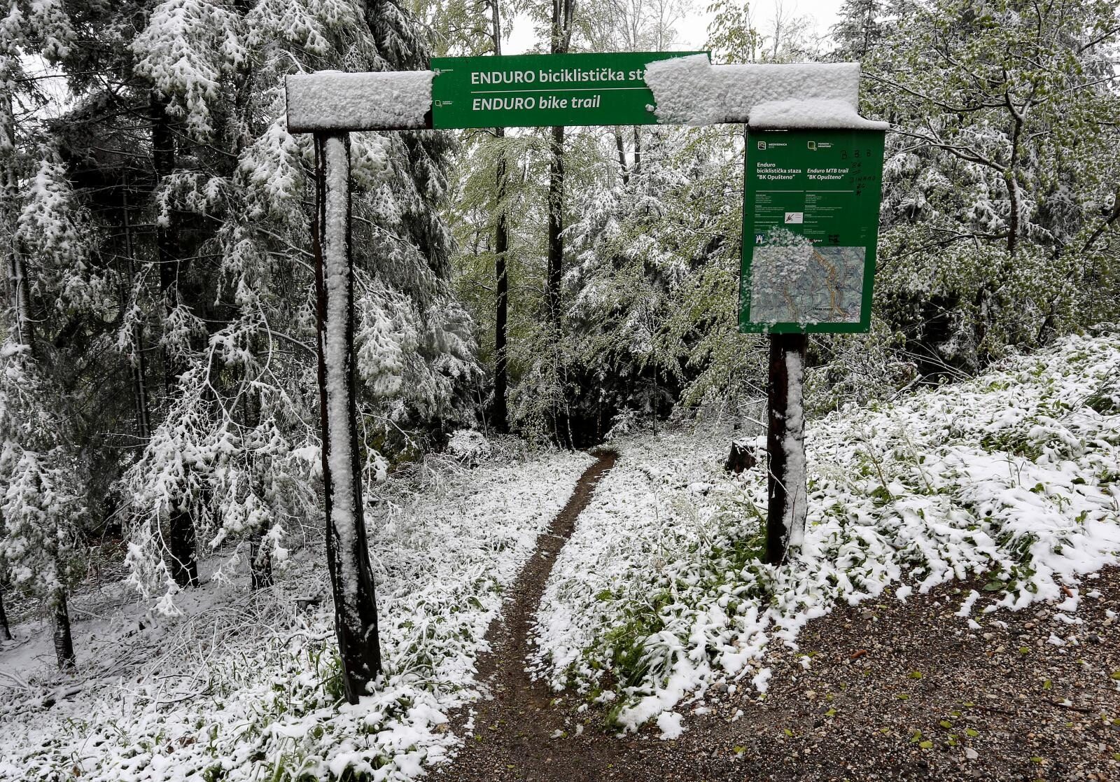 Foto: Marko Prpic/PIXSELL