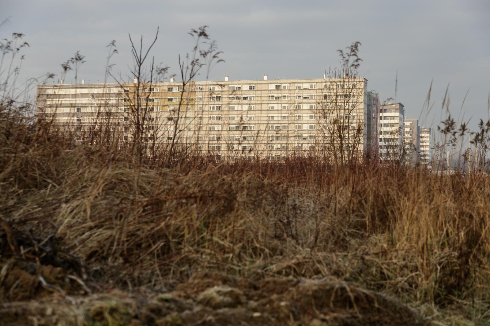 Foto: Davor Puklavec/PIXSELL