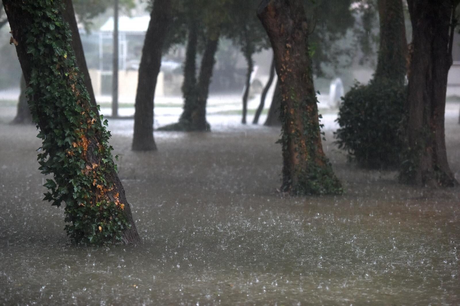 Foto: Dino Stanin/PIXSELL