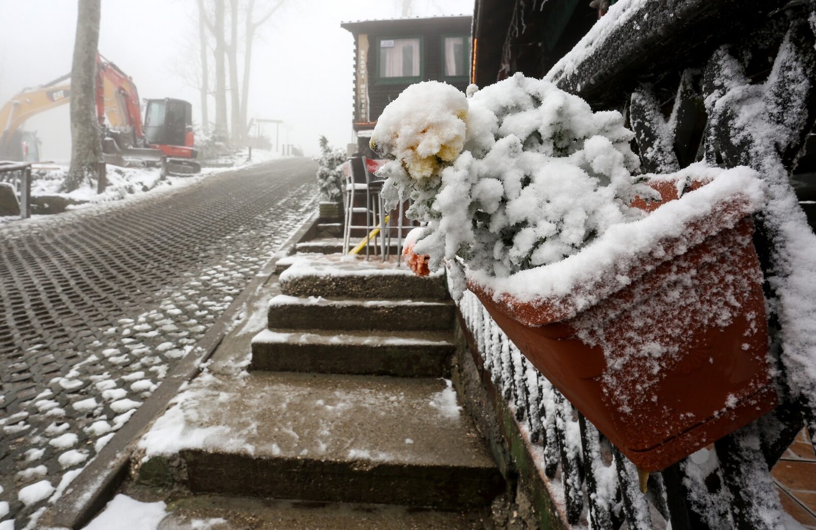 Foto: Marko Prpic/PIXSELL