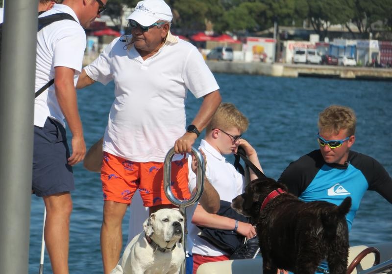 Foto: Ivo Čagalj / Pixsell