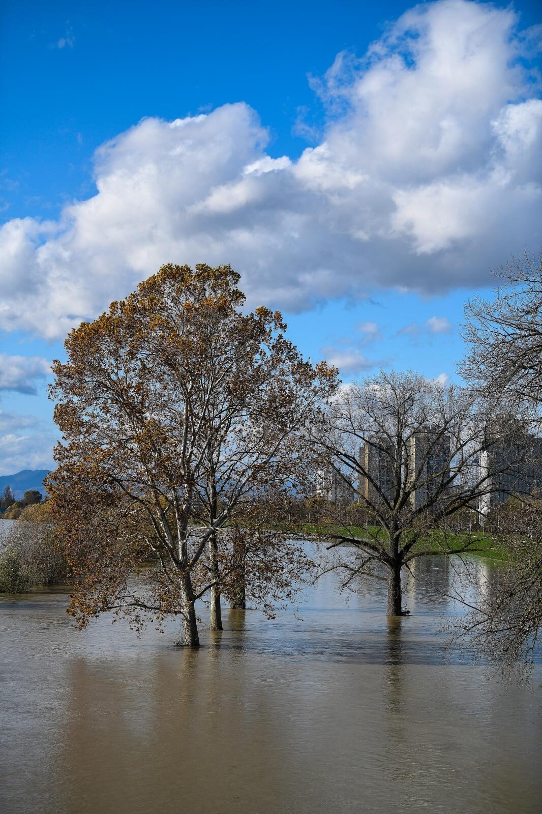 Foto: Sandra Simunovic/PIXSELL