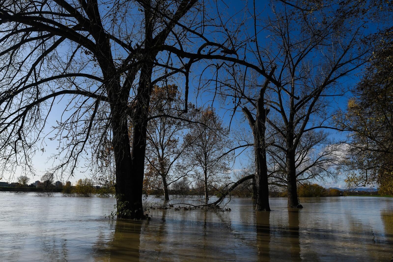 Foto: Sandra Simunovic/PIXSELL