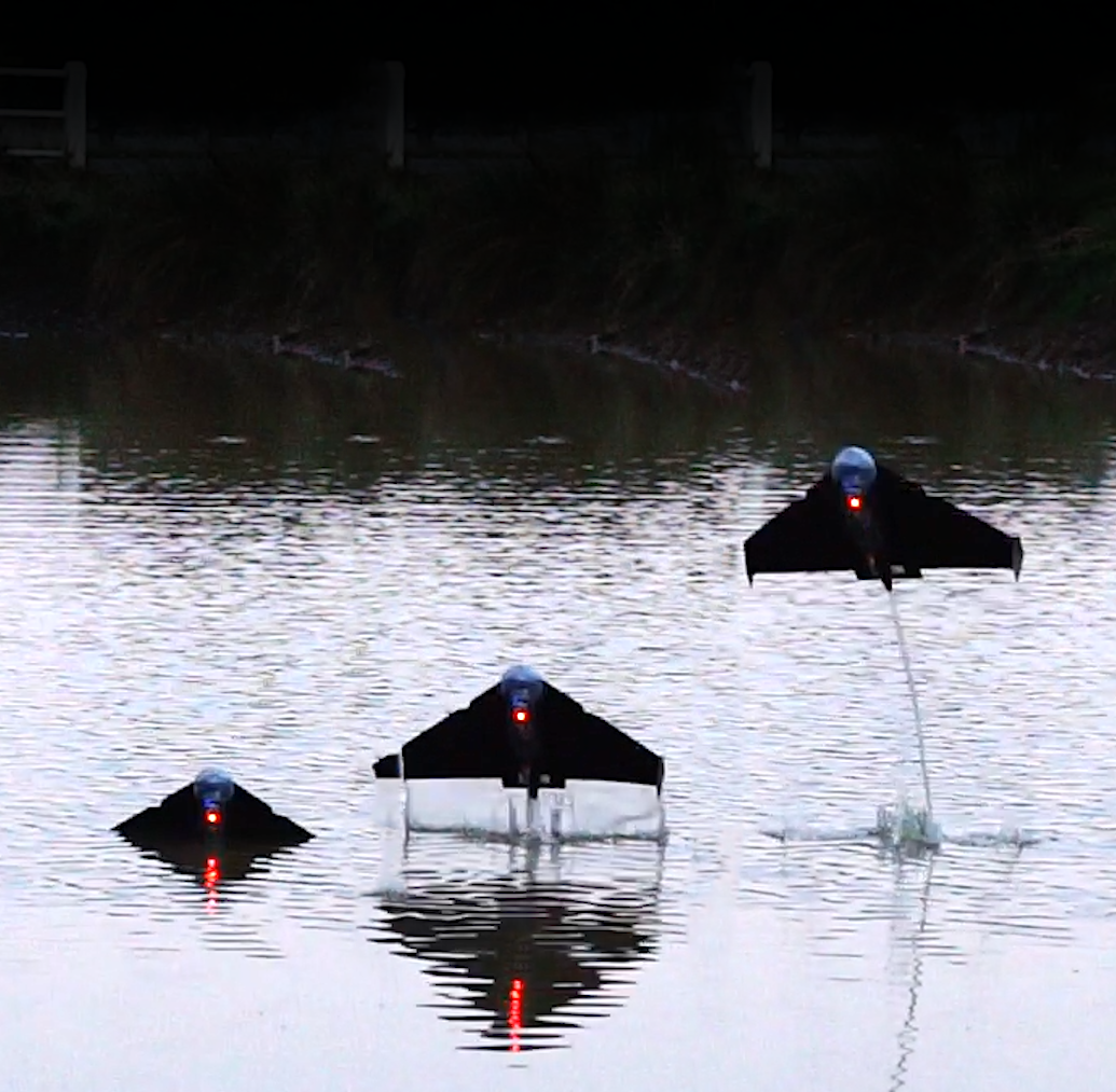 Foto: Hayley Dunning/Imperial College London