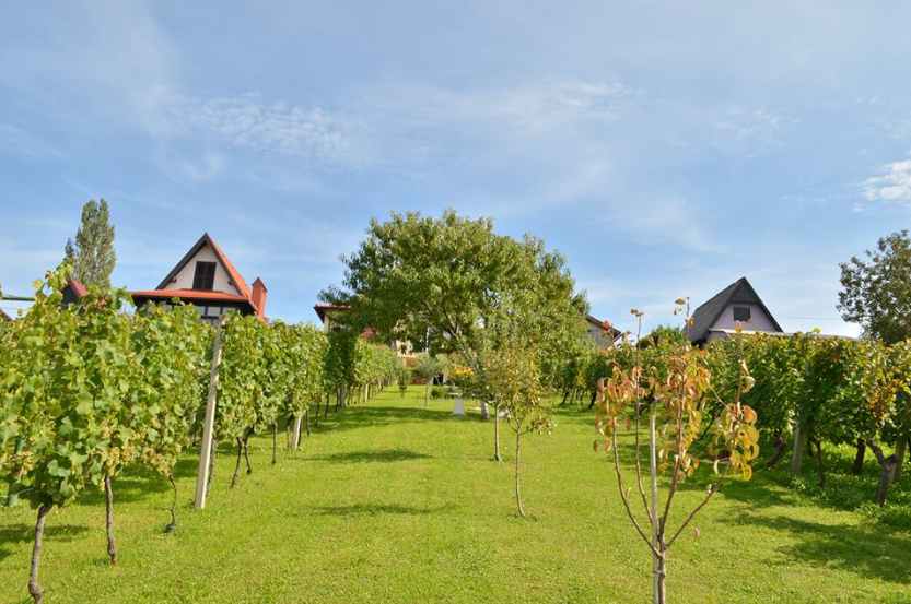 Foto: Facebook screenshot