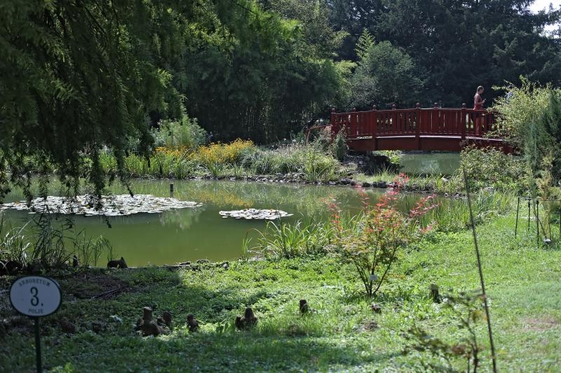 Foto: Sanjin Strukic/PIXSELL