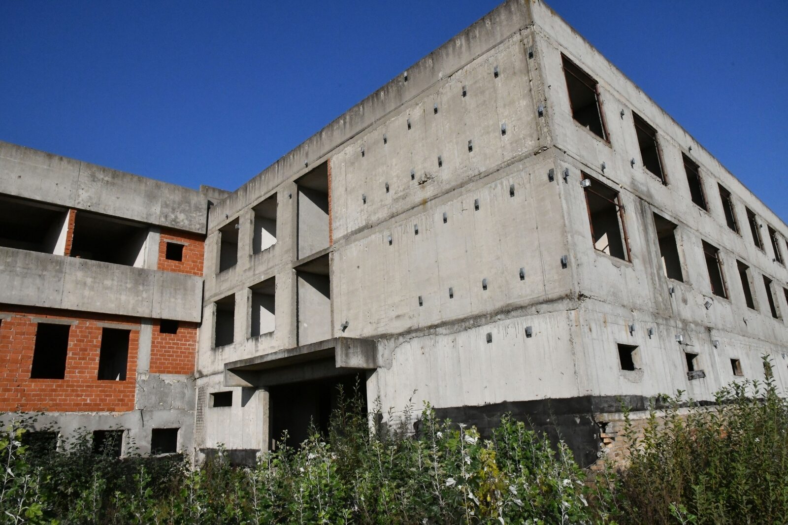 Foto: Ivica Galovic/PIXSELL