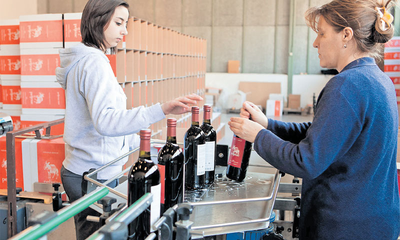 Vinarija Potomje: PZ Dingač bi do ljeta, nadaju se vinari, mogao dobiti novog vlasnika/Grgo Jelavić/