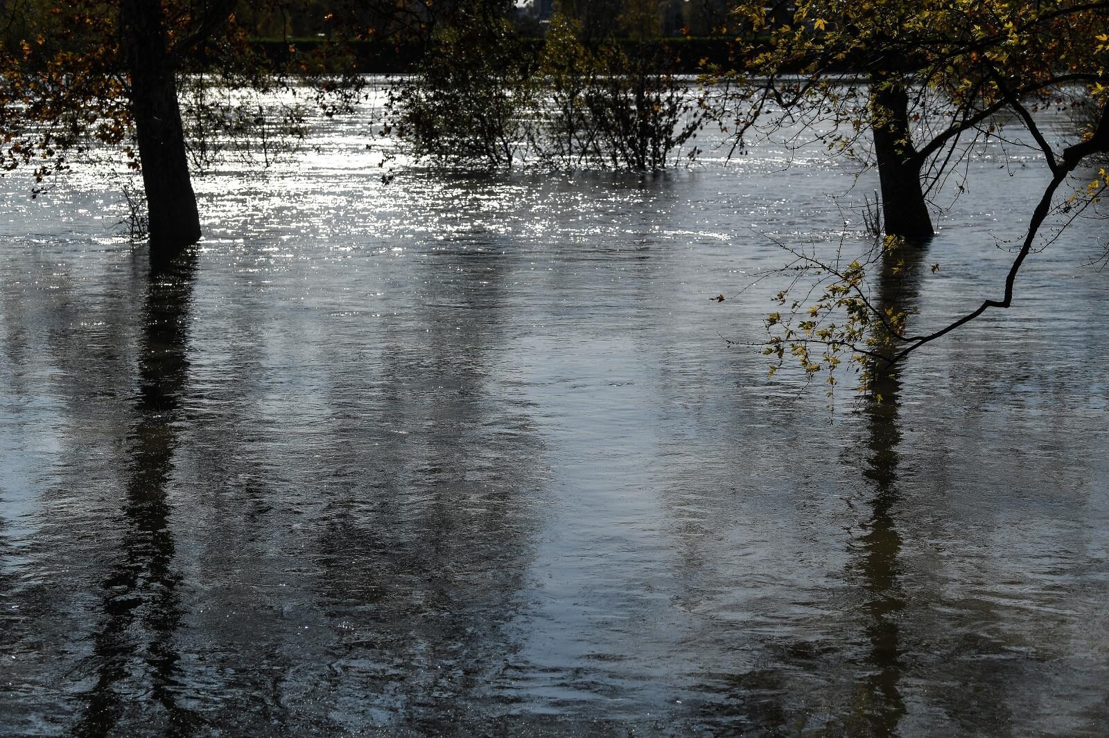 Foto: Sandra Simunovic/PIXSELL