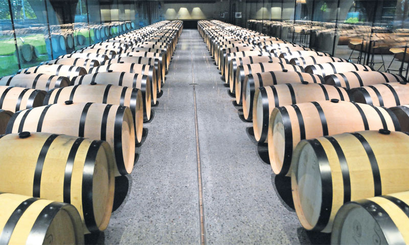 Godišnji je kapacitet proizvodnje 630.000 litara, no u planu je proizvesti 330.000 litara vina. Uz k