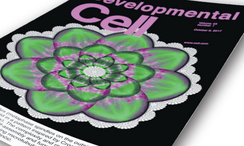 Naslovnica je napravljena od kolaža mikroskopskih slika