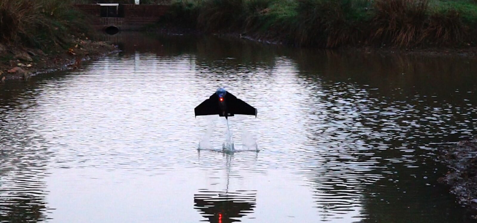 Foto: Hayley Dunning/Imperial College London