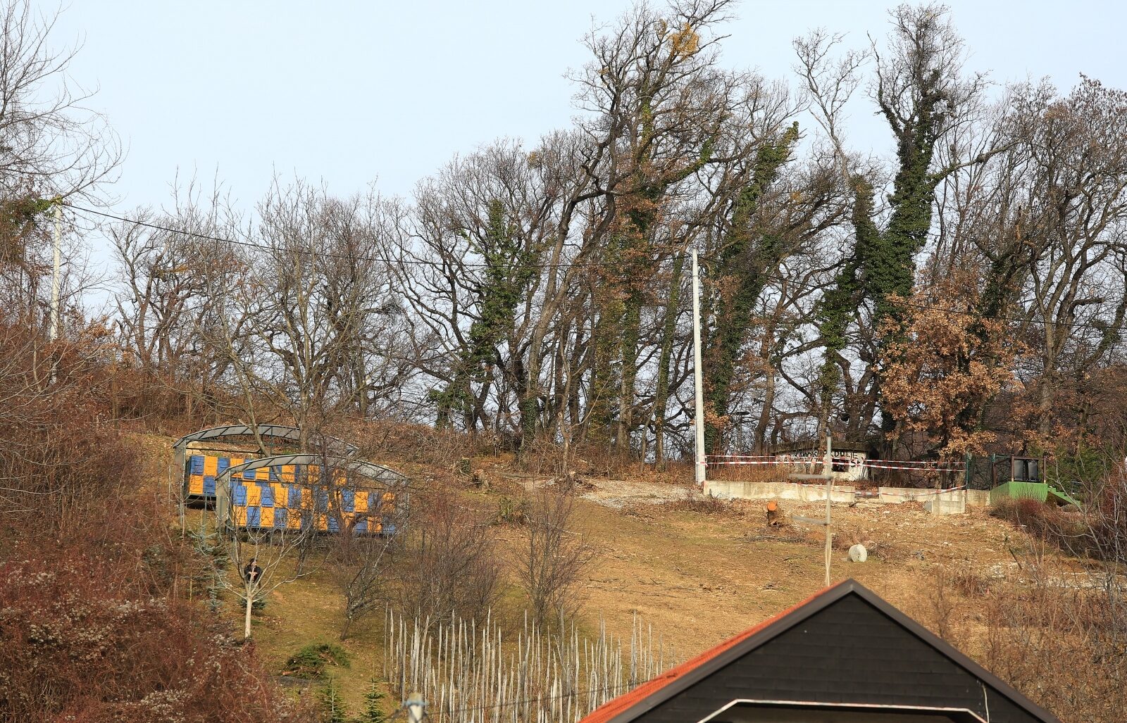 Foto: Marko Prpić / Pixsell