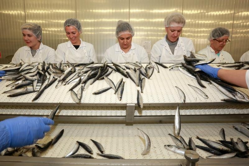 Foto: Miranda Cikotić / Pixsell