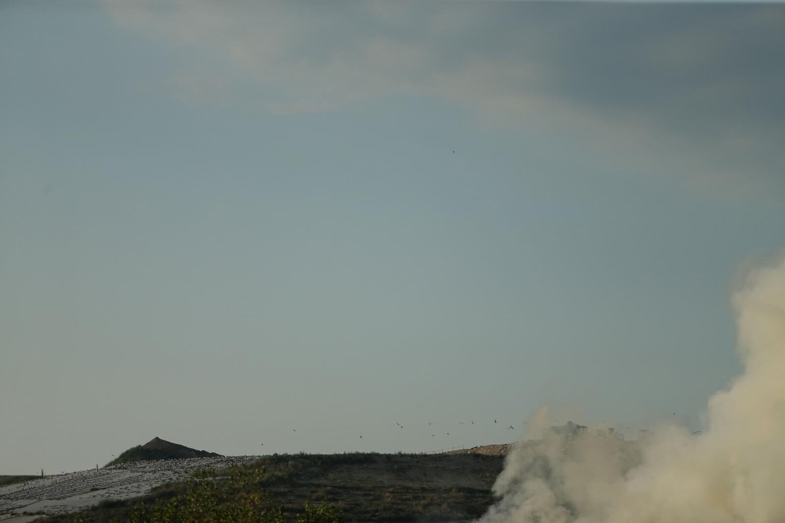 Foto: Filip Kos/PIXSELL