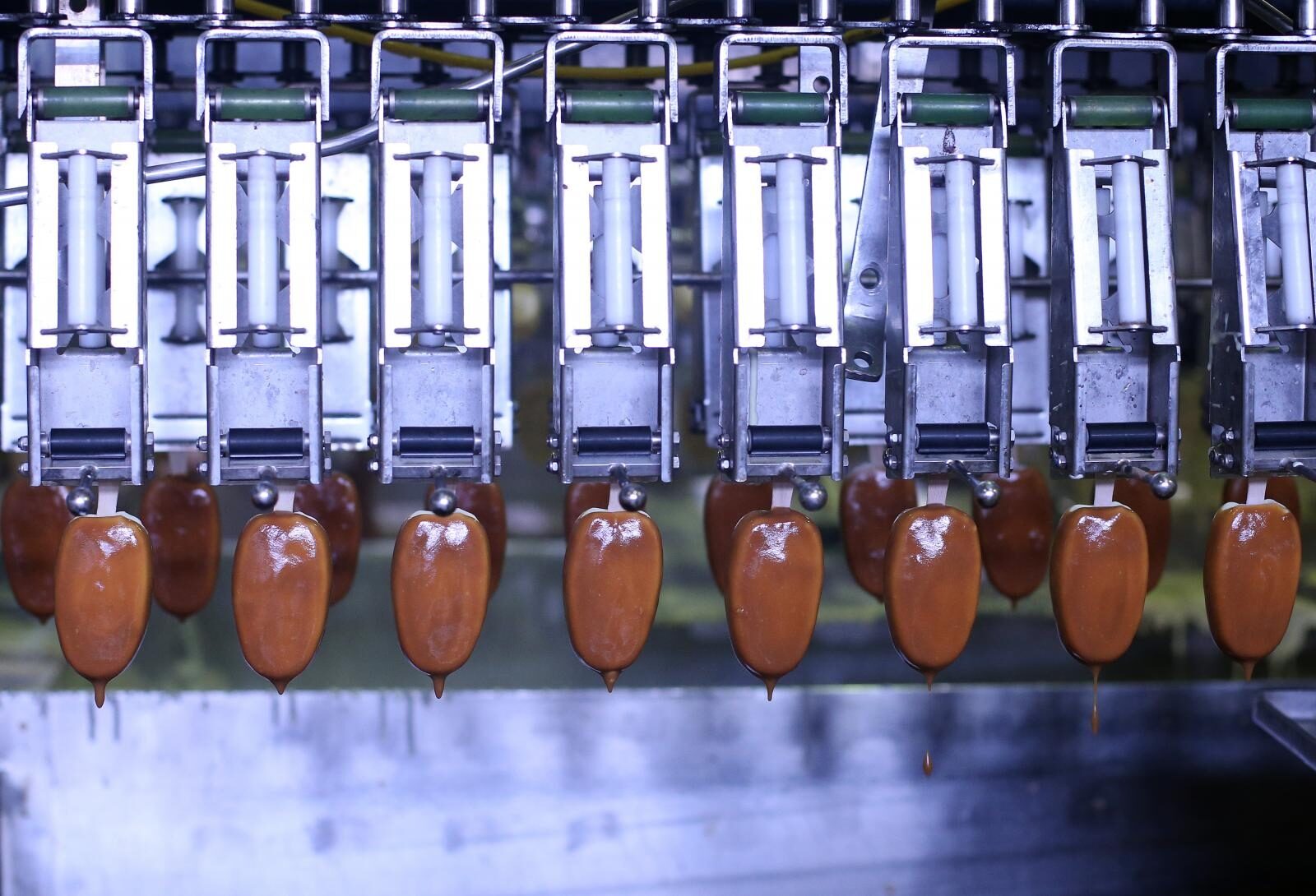 Foto: Igor Kralj/PIXSELL