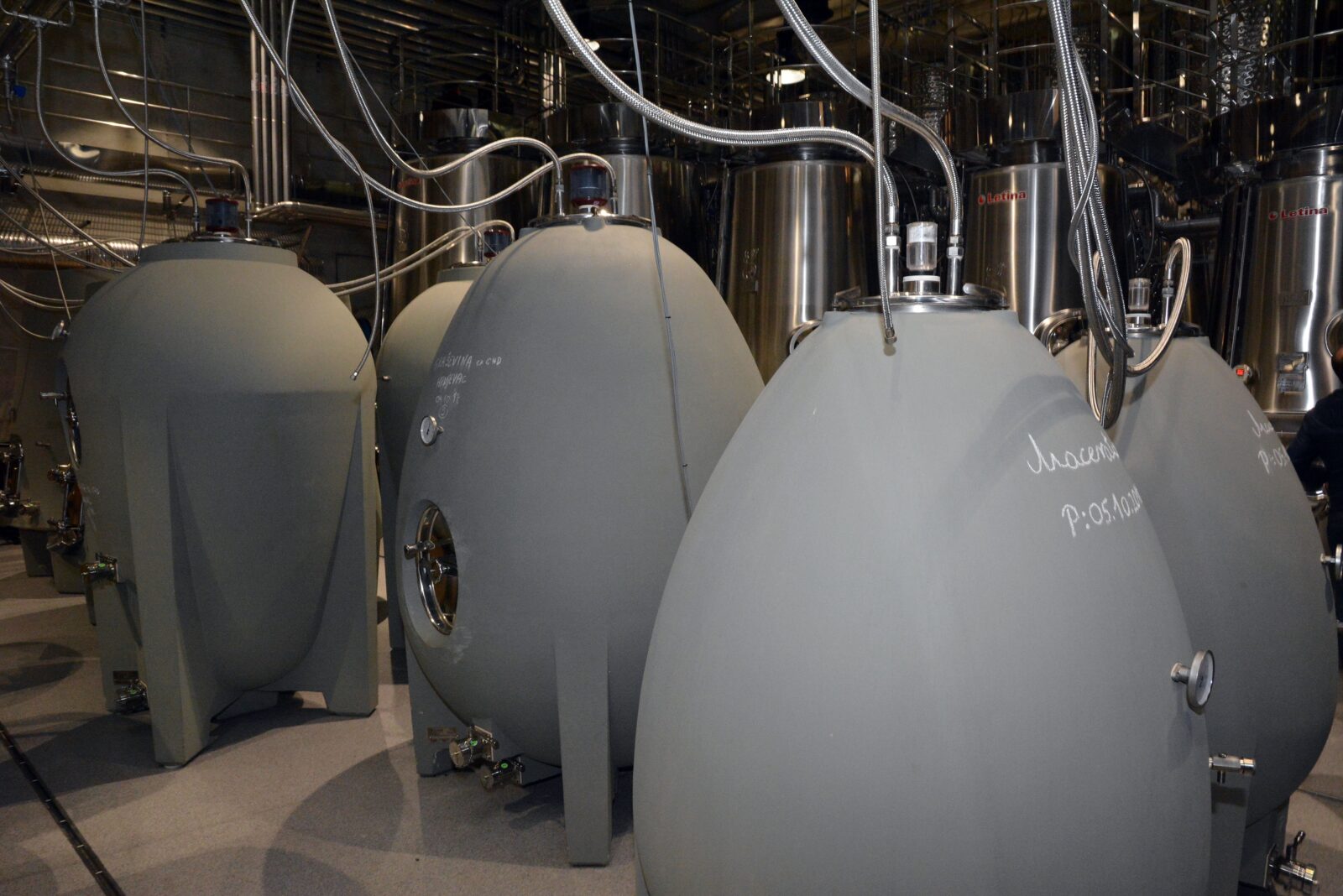 Foto: Ivica Galovic/PIXSELL