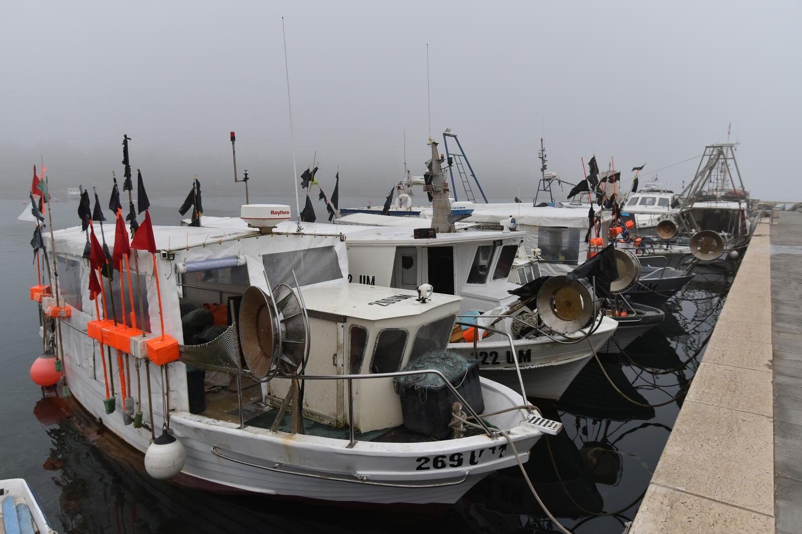 Foto: Dusko Marusic/PIXSELL