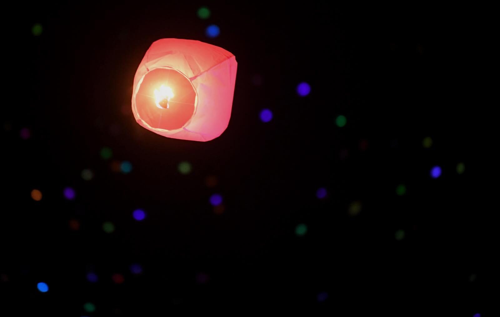 Foto: Marko Lukunic/PIXSELL