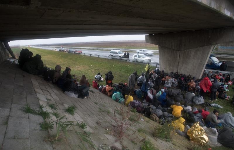 Foto: Srđan Ilić/PIXSELL