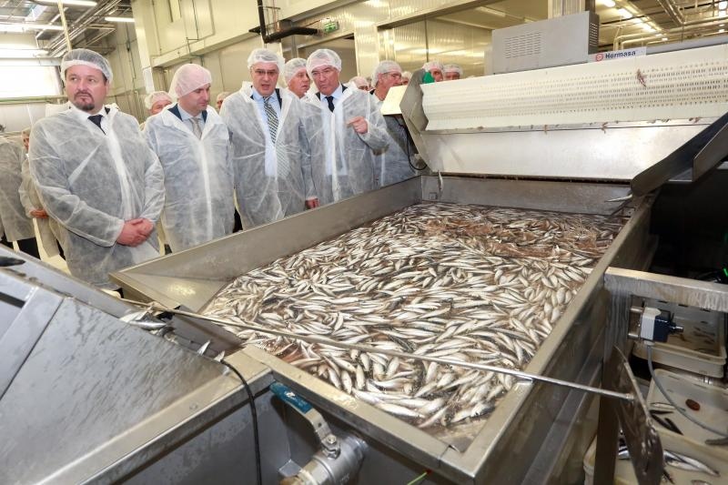 Foto: Miranda Cikotić / Pixsell