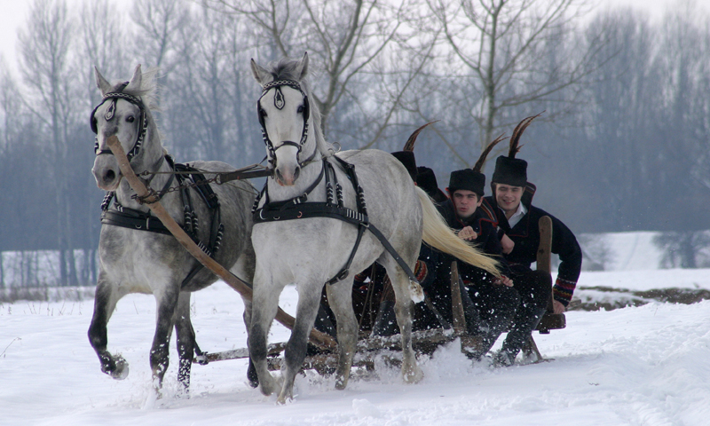 Foto: Uživanje u zimskoj idili uz predivne konje, nalik ovome nadomak Županje, jedna je od glavnih a