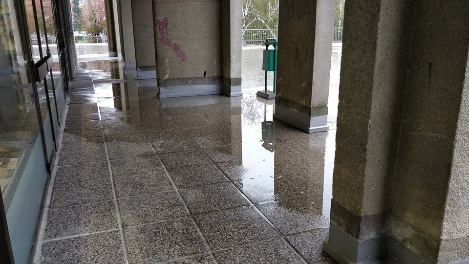 FOTO: Facebook/Renato Petek