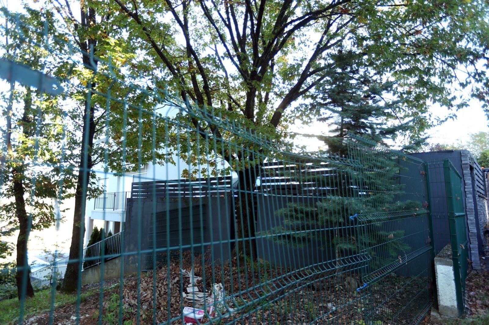 Foto: Robert Anic/PIXSELL