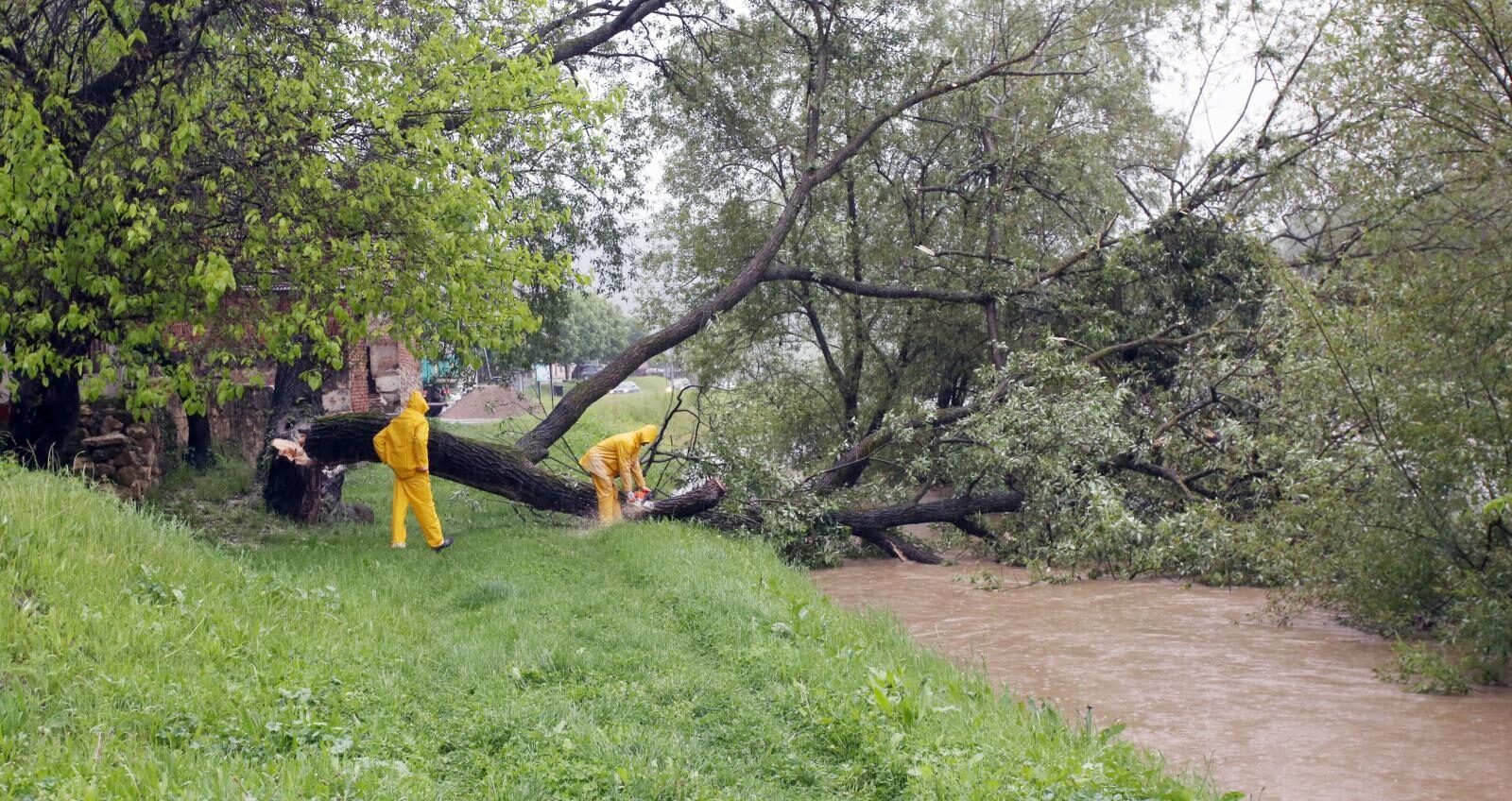 Foto: Nikola Cutuk/PIXSELL
