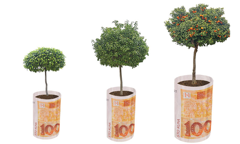 Investicija u najveći hrvatski poljoprivredni klaster teška 2,5 milijuna kuna/FOTOLIA, Davor Puklave