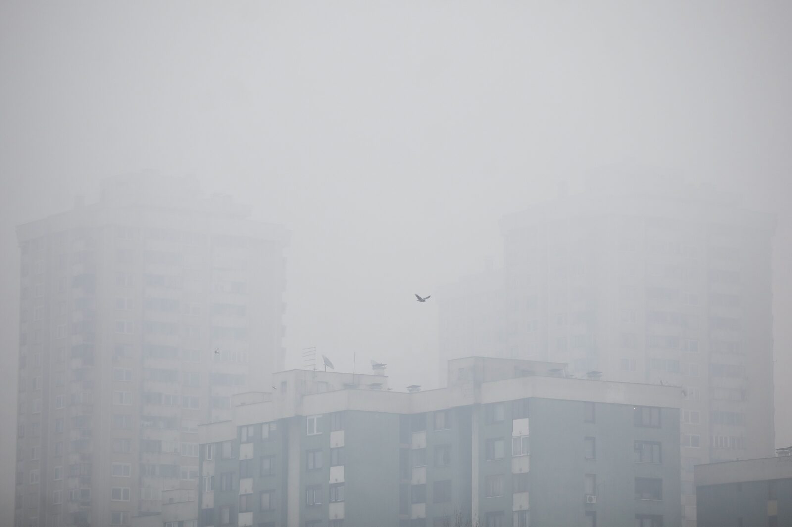 Foto: Armin Durgut/PIXSELL