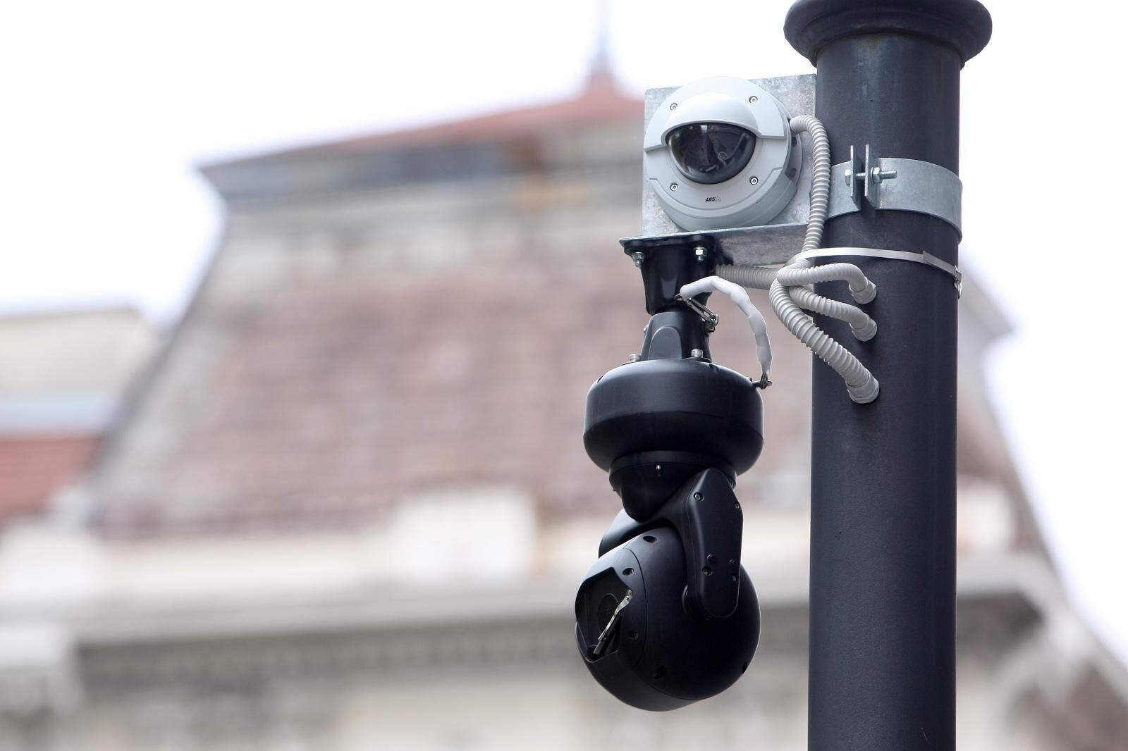 Foto: Luka Stanzl/PIXSELL