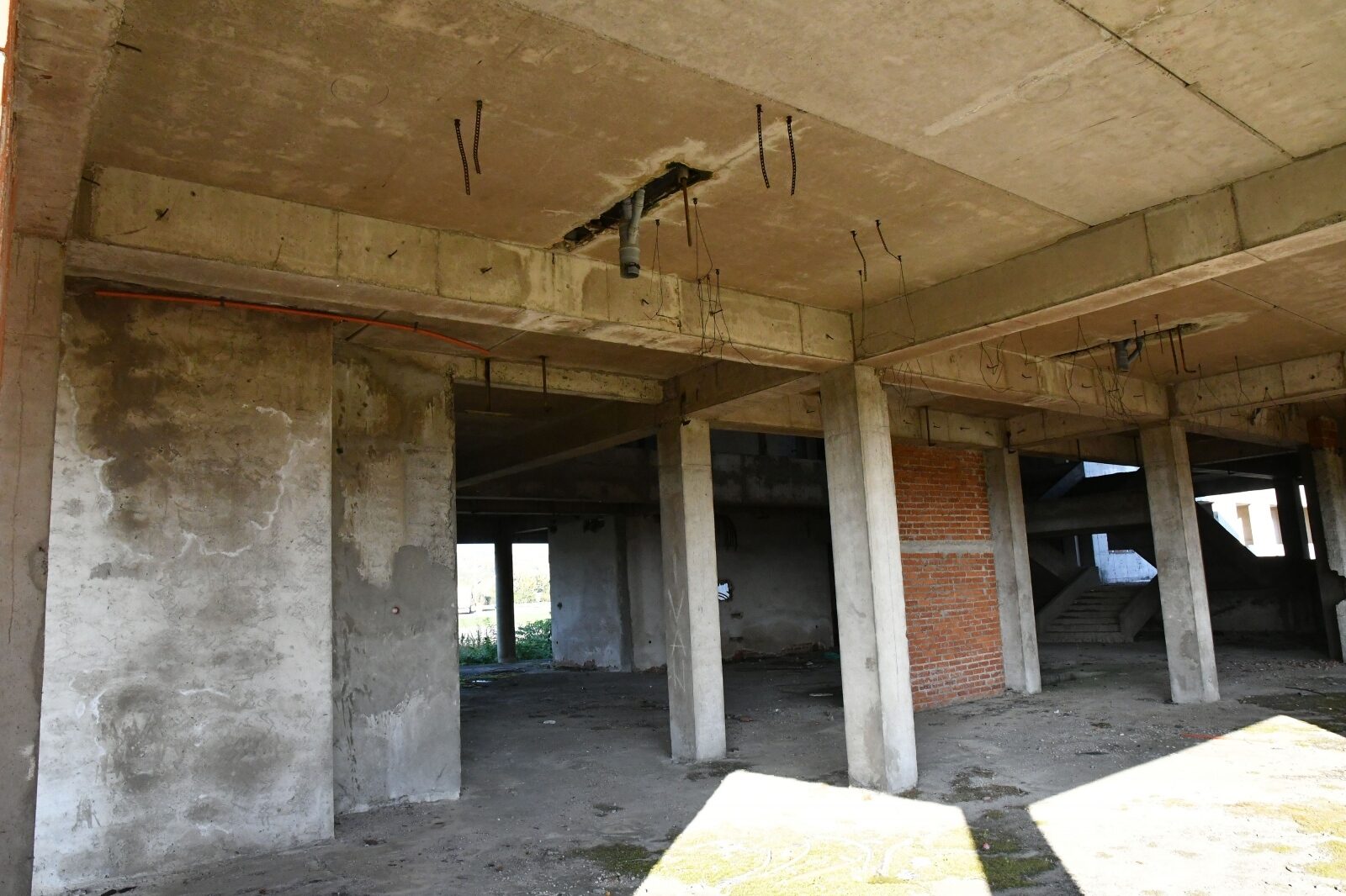 Foto: Ivica Galovic/PIXSELL