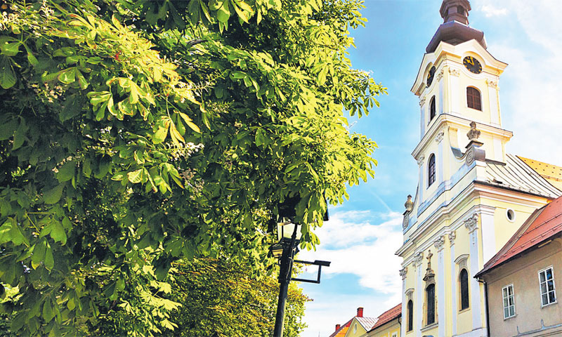 Bjelovar postaje brži i učinkovitiji te stvara okruženje za dinamično gospodarstvo/SHUTTERSTOCK