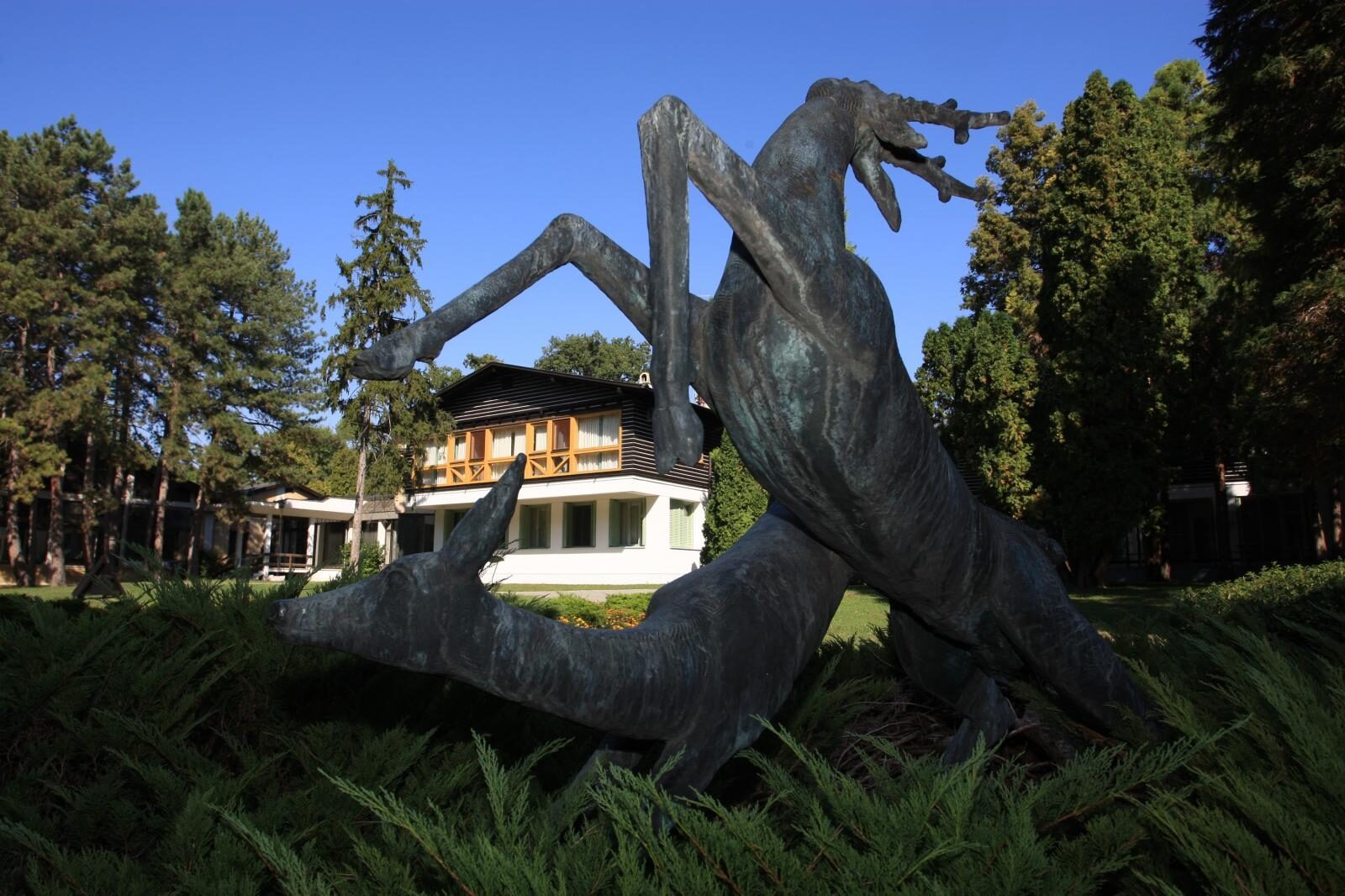 Photo: Boris Scitar/PIXSELL