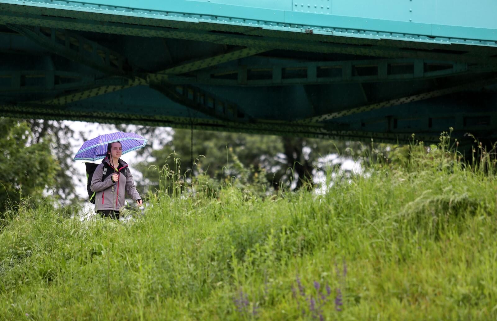 Foto: Marin Tironi/PIXSELL