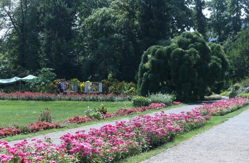 Foto: Sanjin Strukic/PIXSELL