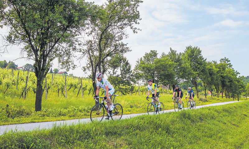 Međimurje Cyclist Welcome jedan je od najpoznatijih brendova