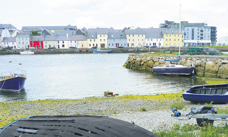 Irski Galway pobjednik je u kategoriji Europskog zelenog lista za 2017./FOTOLIA