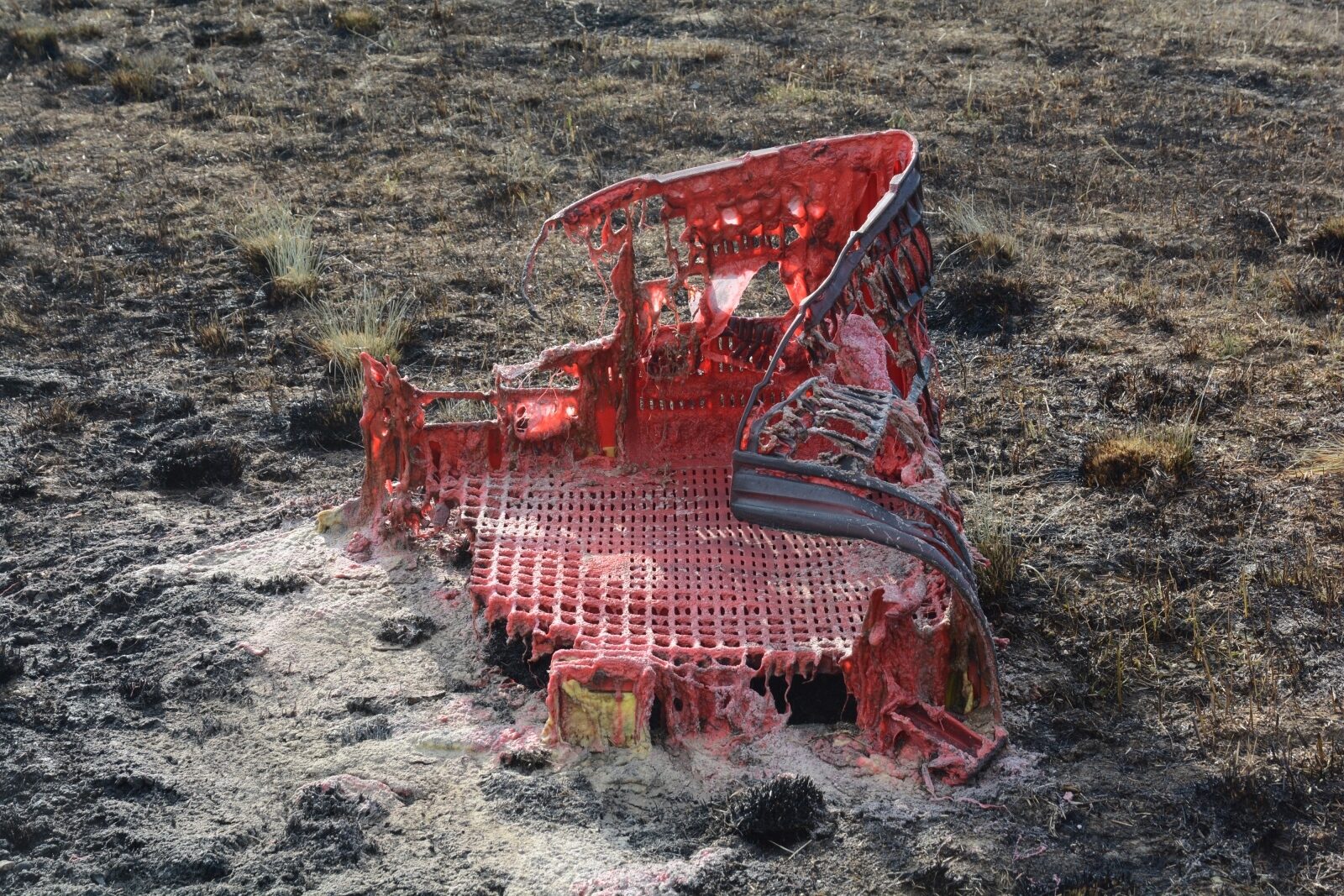 Foto: Nikola Cutuk/PIXSELL