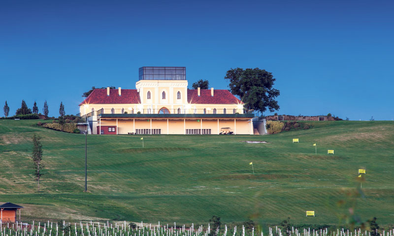 Podrumi čuvaju i boce traminca s krunidbe na engleskom dvoru/ILOČKI PODRUMI