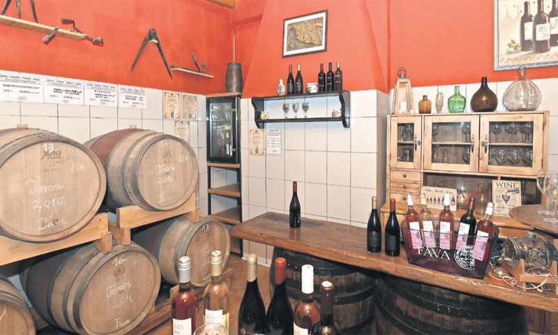 Foto: D. Marušić/PIXSELL