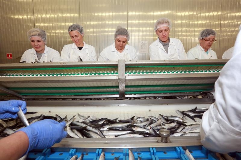 Foto: Miranda Cikotić / Pixsell