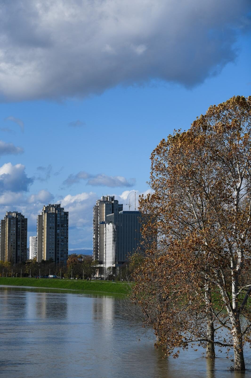 Foto: Sandra Simunovic/PIXSELL