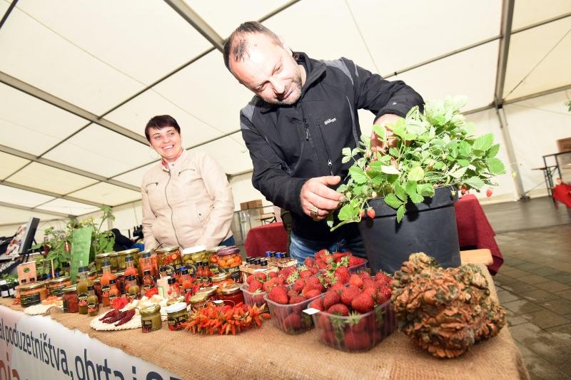 Foto: Vjeran Zganec Rogulja/PIXSELL