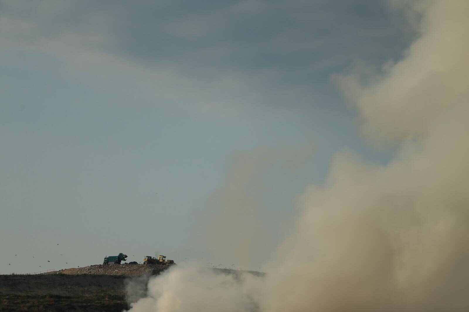 Foto: Filip Kos/PIXSELL