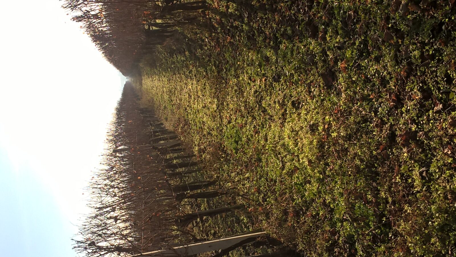 Foto: Marta Duić / PD