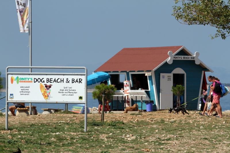 Foto: Goran Kovačić / Pixsell